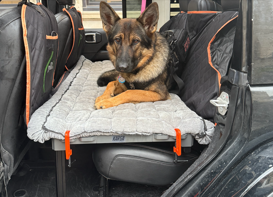 KARGA: Solving for a combat vet and his service dog