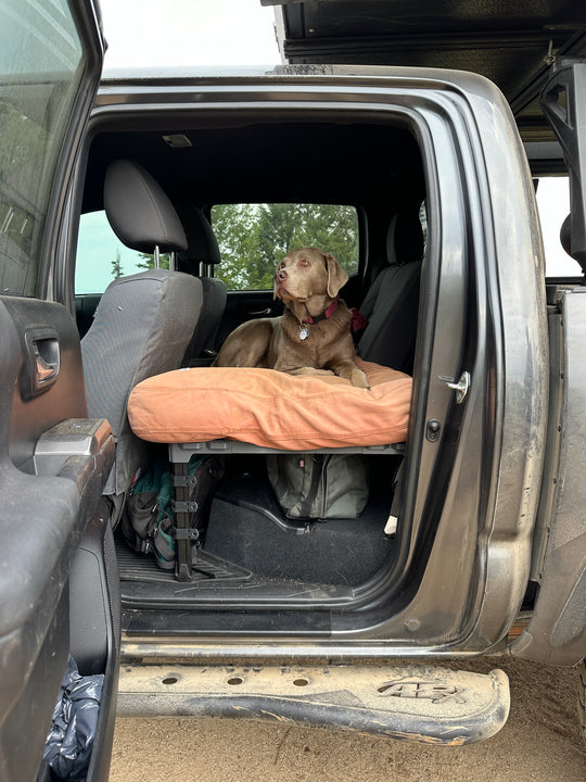 Single Level Seat Delete - 40%
